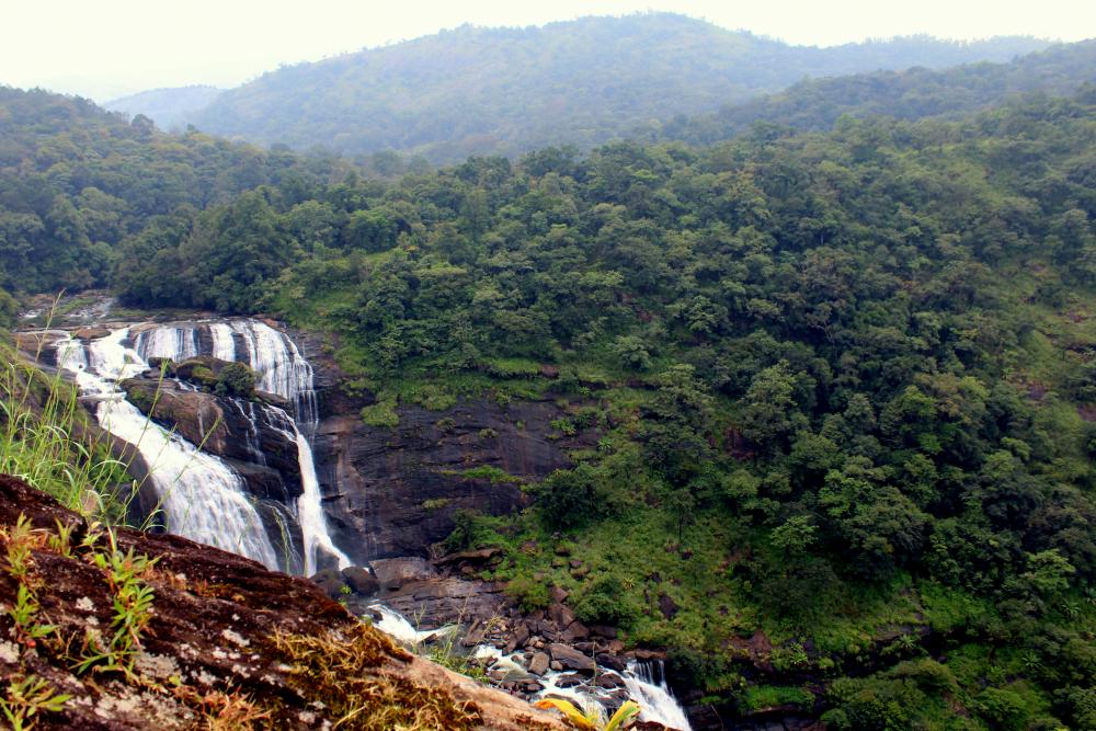 Mallalli Waterfalls (1).jpg